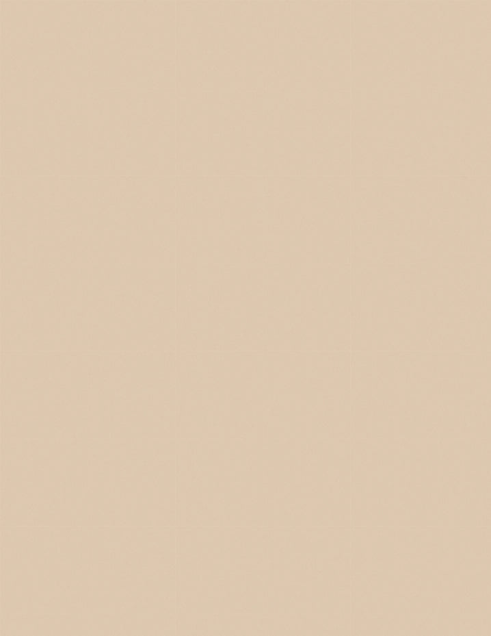 LAMINADO LAMITECH SIMIL FORMICA POSTFORMABLE MATE 1.22m X 2.44m 0.7mm